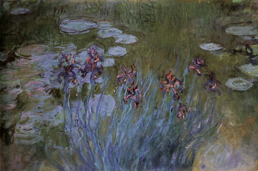 Irises and Water Lillies
